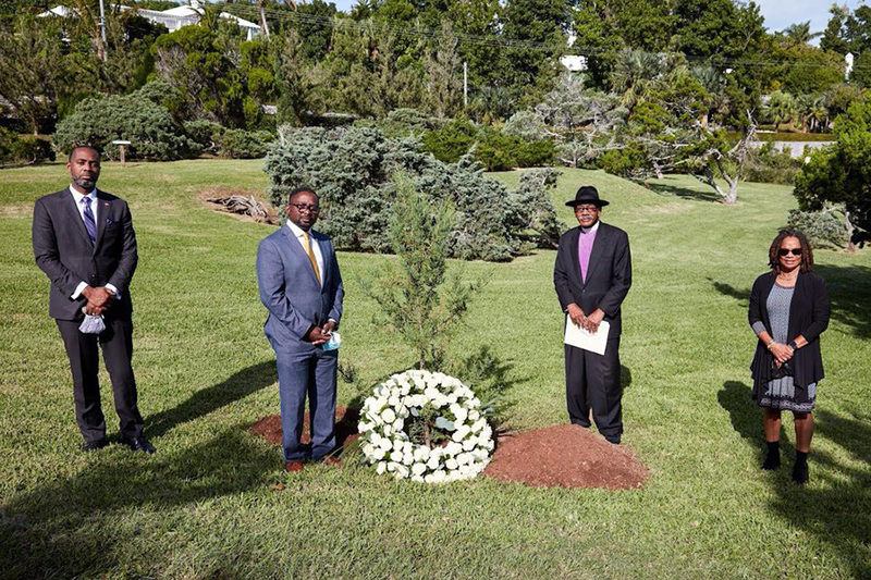Coronavirus Memorial Tree Planting Ceremony Bermuda November 12 2021