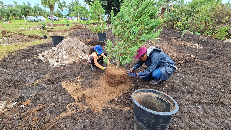 Queen’s Green Canopy Tree Planting Bermuda Nov 9 2021 (2)