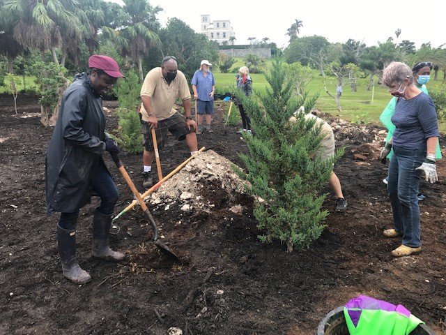 Queen’s Green Canopy Tree Planting Bermuda Nov 9 2021 (6)