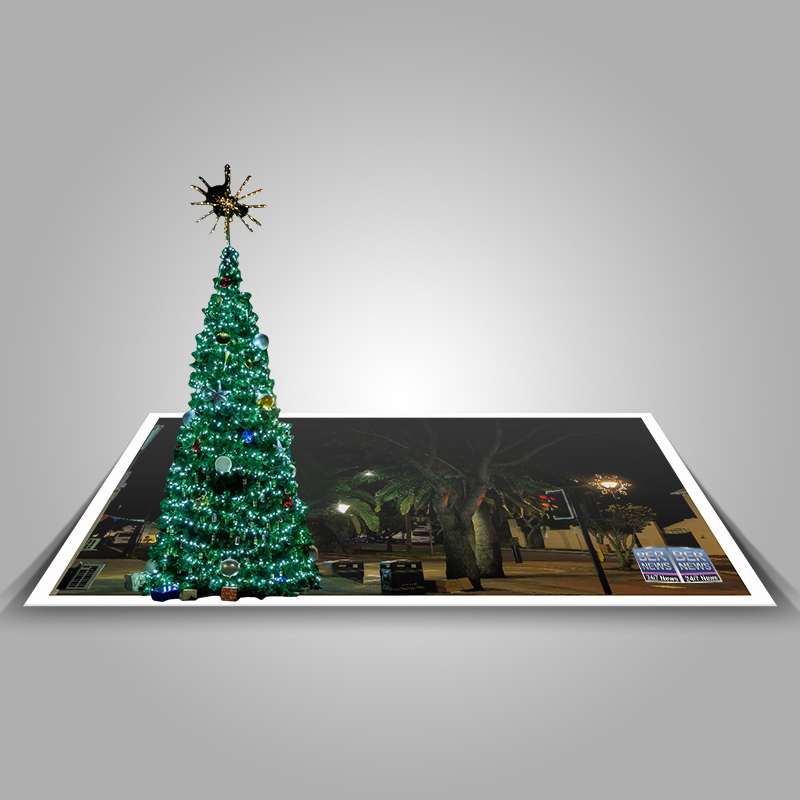 2021-Bermuda-Island-Christmas-lights-decorations-images-874A3435 final