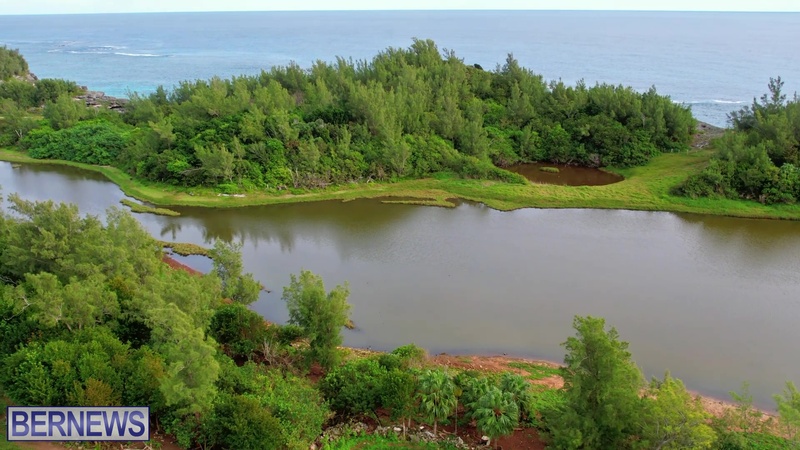 1m Bermuda Spittal Pond aerial 2022 JT wetlands (3)