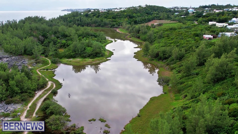 1m Bermuda Spittal Pond aerial 2022 JT wetlands (6)