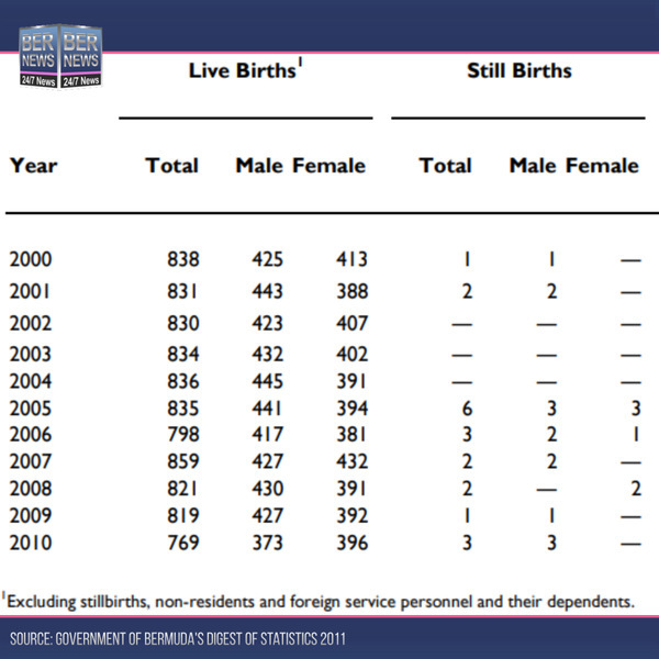 Bermuda births statistics chart Bernews 2022 (1)