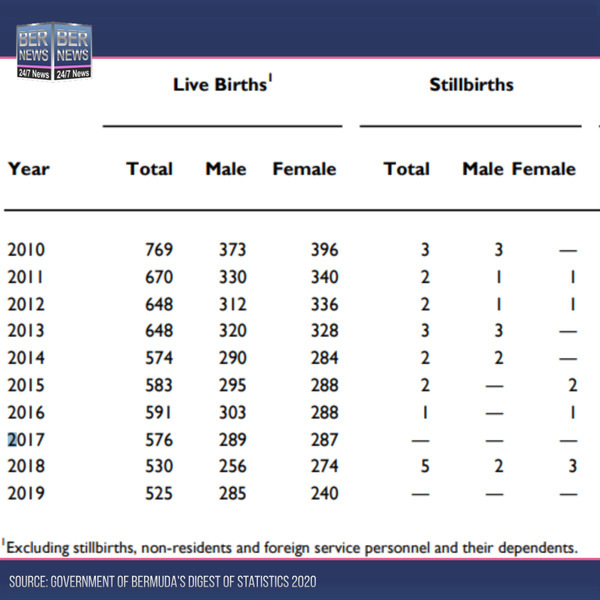 Bermuda births statistics chart Bernews 2022 (4)