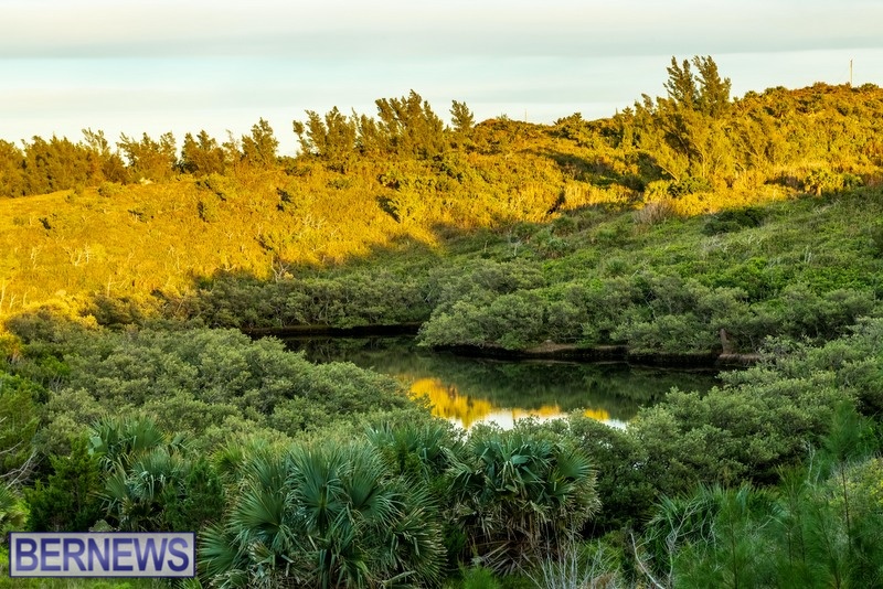 Lover's Lake Nature Reserve  Bermuda 2022 JS (2)