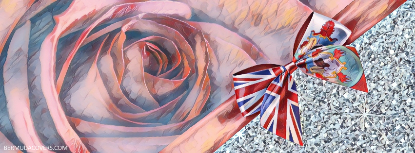 Rose & Ribbon Bermuda Flag Painting Look social media cover graphic image screensaver r35325r235 (1)