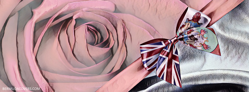 Rose & Ribbon Bermuda Flag Painting Look social media cover graphic image screensaver r35325r235 (3)