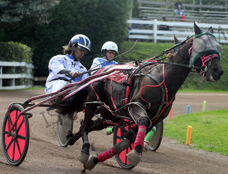 New Stallion Record Set During Harness Racing - Bernews