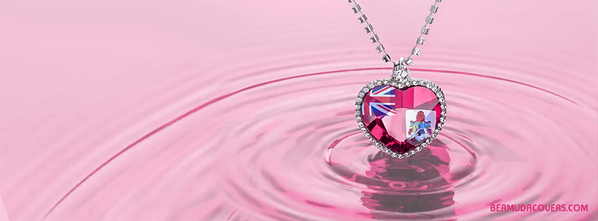 Bermuda Necklace In Pink water Facebook Cover 0982354
