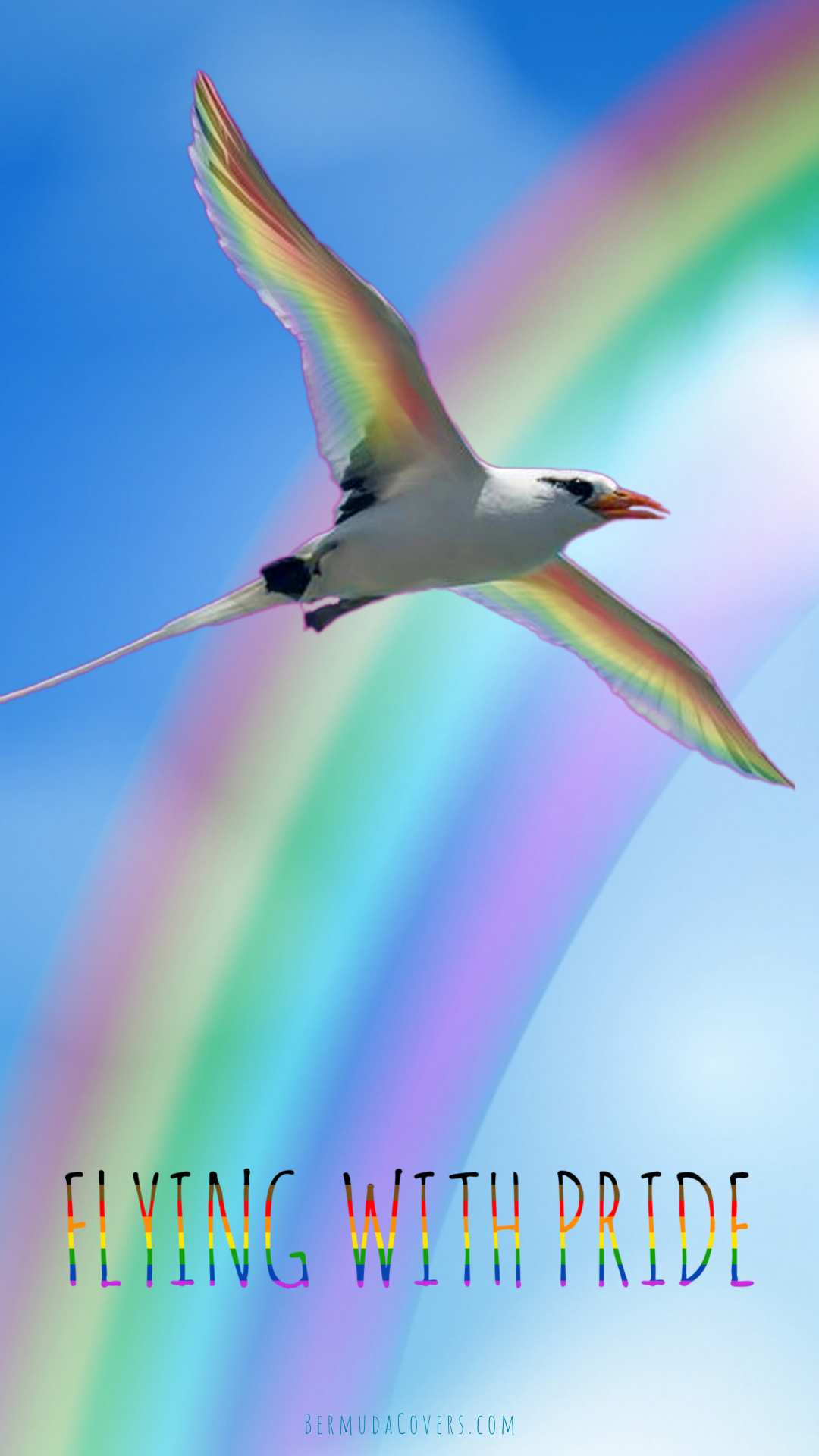 Silver Longtail Rainbow Pink Phone Wallpaper (1)