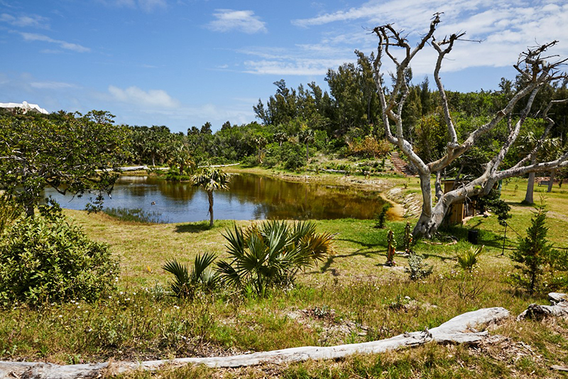 Eve’s Pond Nature Reserve Ribbon-Cutting Ceremony Bermuda April 23 2022 (3)
