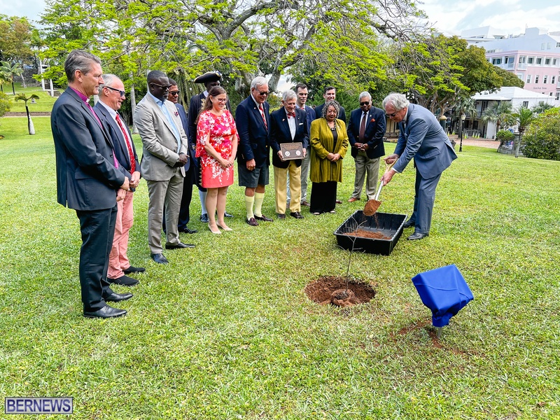 Tree planting Bermuda City April 2022 AW (15)