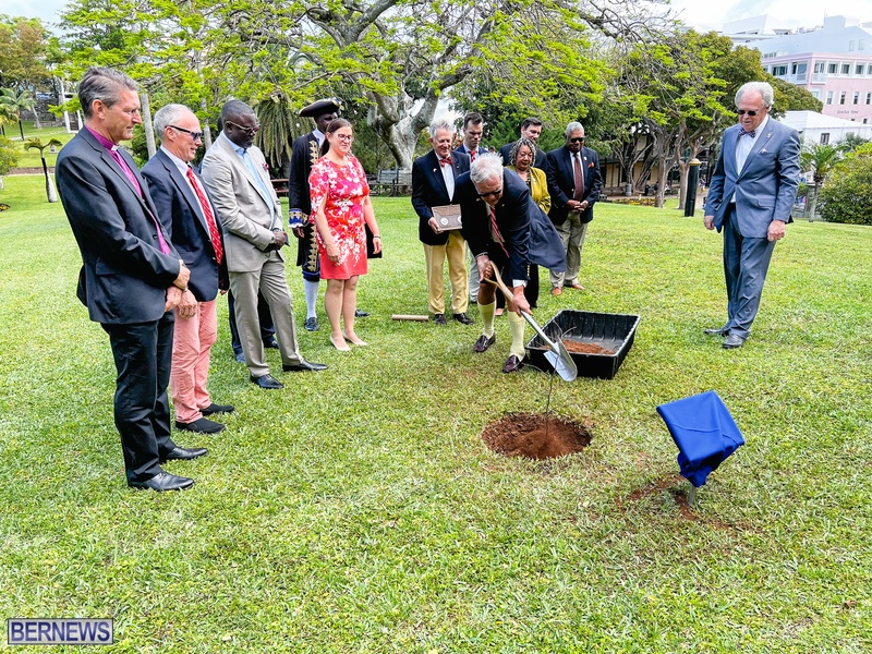 Tree planting Bermuda City April 2022 AW (16)