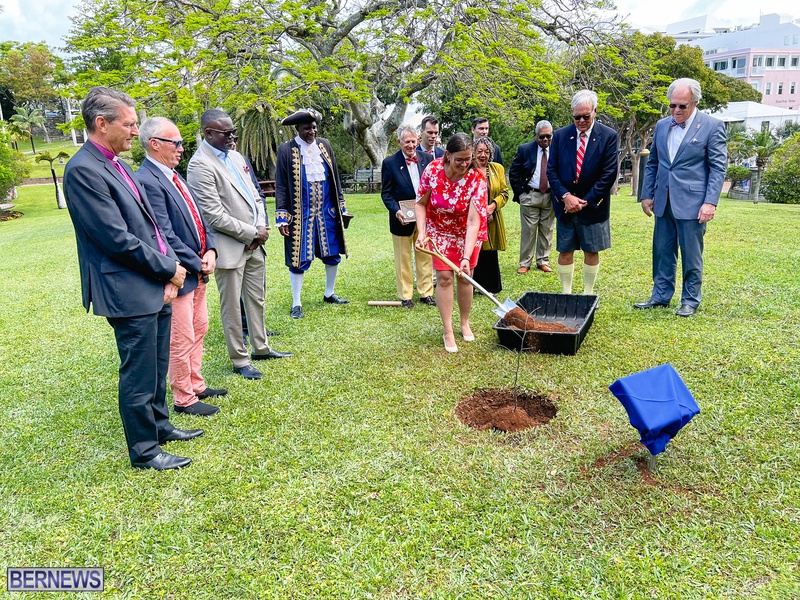 Tree planting Bermuda City April 2022 AW (17)