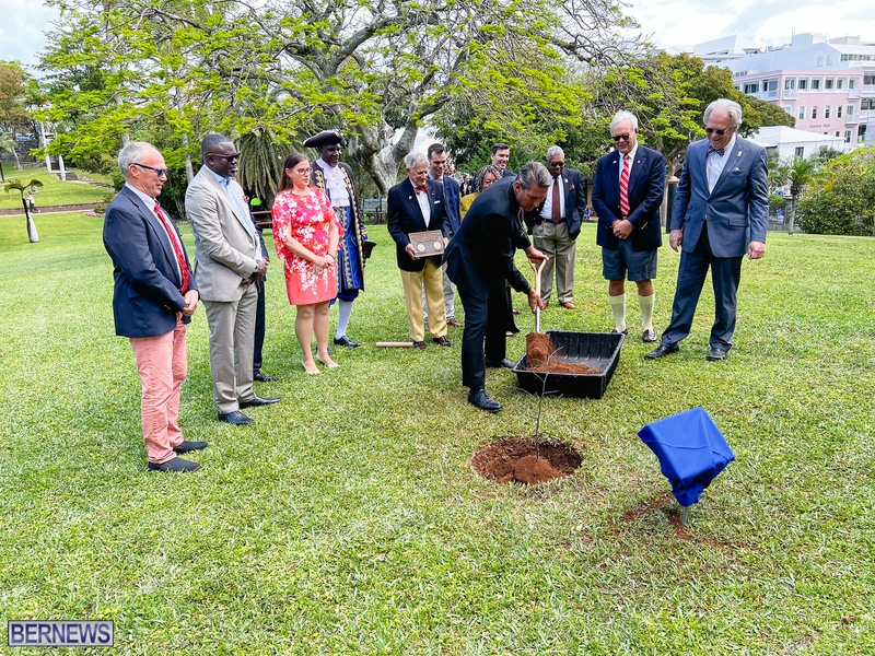 Tree planting Bermuda City April 2022 AW (18)