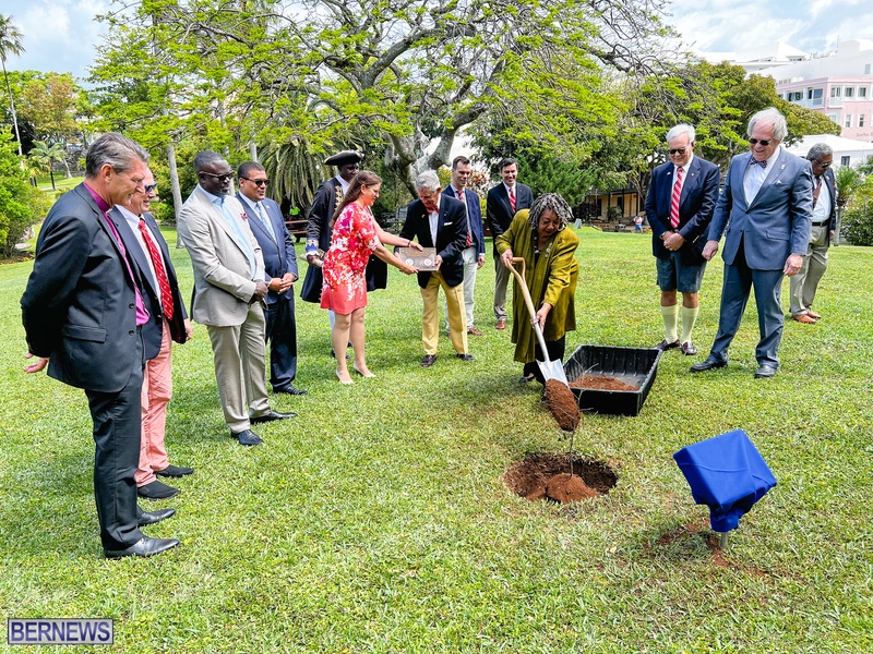 Tree planting Bermuda City April 2022 AW (20)