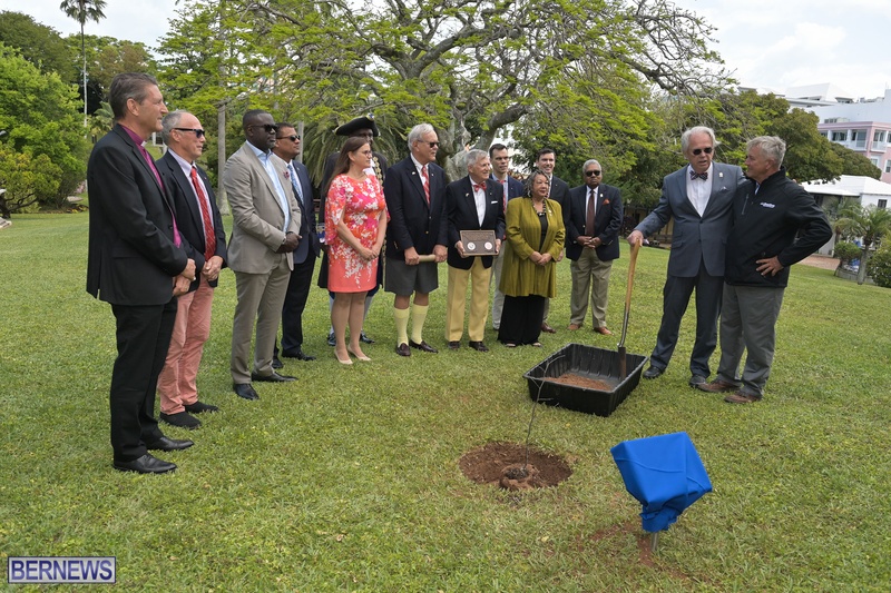 Tree planting Bermuda City April 2022 AW (6)