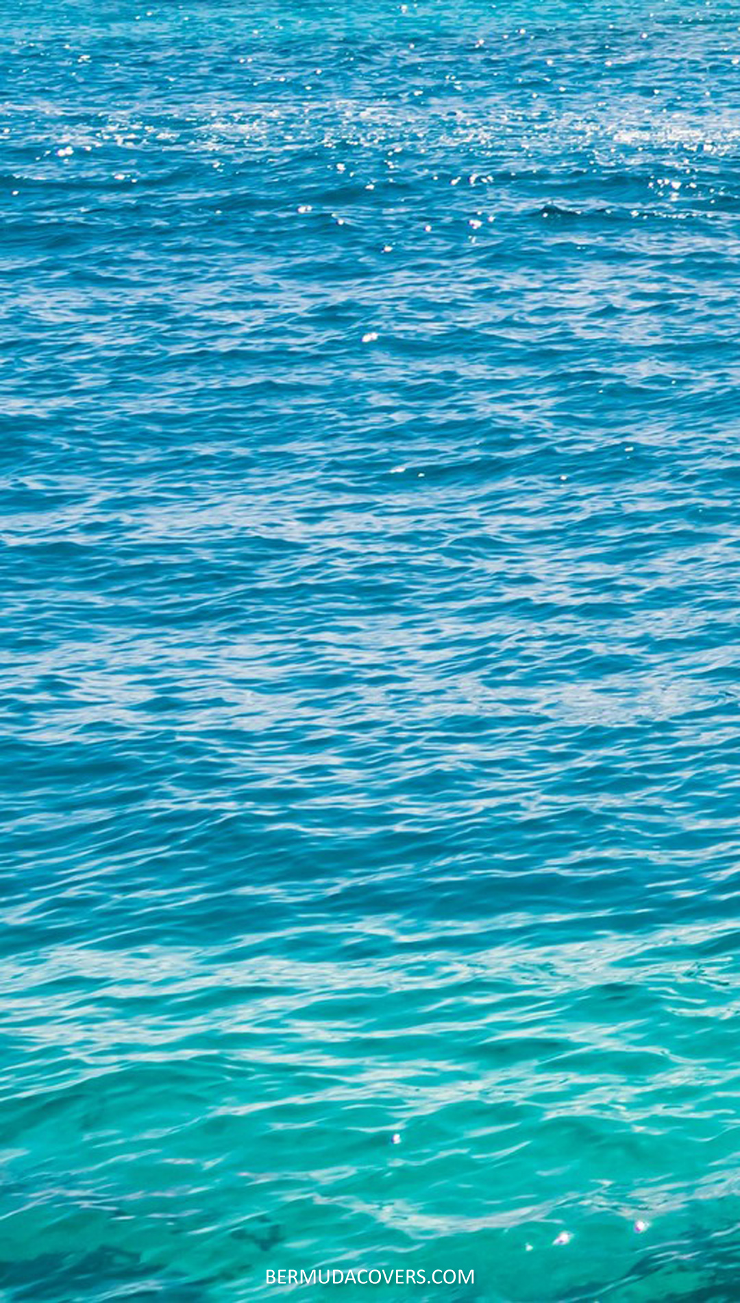 Bermuda Rippling Waters social media image 329040249 (1)