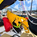 Clipper Round the World Yacht Race Bermuda June 2022 (47)