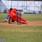Cricket Bermuda June 2022 (10)