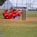 Cricket Bermuda June 2022 (11)