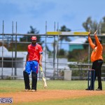 Cricket Bermuda June 2022 (12)