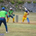 Cricket Bermuda June 2022 (17)