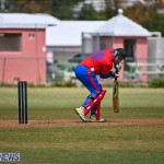 Cricket Bermuda June 2022 (2)