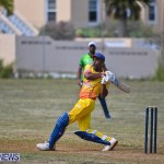 Cricket Bermuda June 2022 (21)