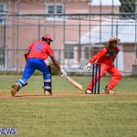 Cricket Bermuda June 2022 (3)