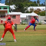Cricket Bermuda June 2022 (4)