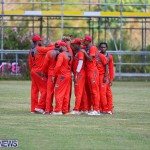 Cricket Bermuda June 2022 (5)