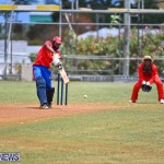 Cricket Bermuda June 2022 (6)