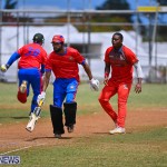 Cricket Bermuda June 2022 (7)