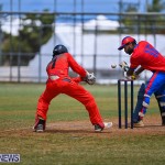 Cricket Bermuda June 2022 (8)