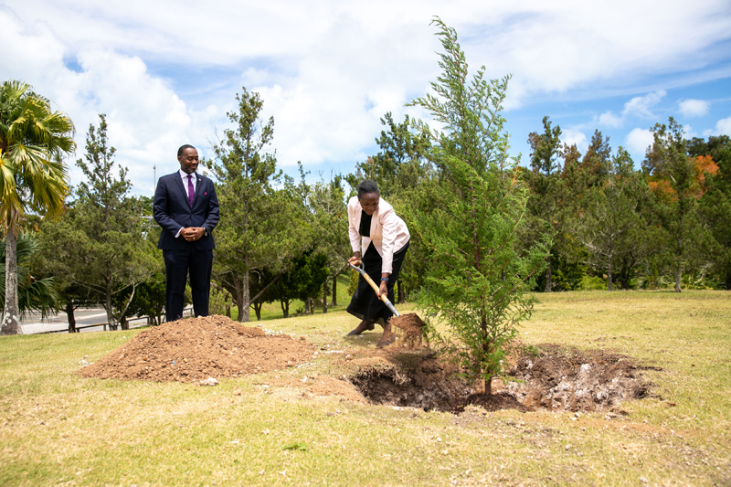 Queen’s Platinum Jubilee Tree Planting Bermuda June 2022 (1)
