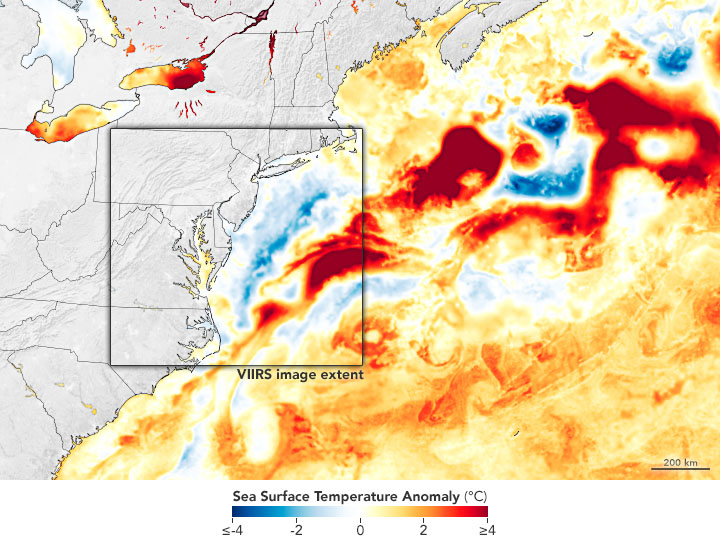 Sea Surface Temperature Anomaly May 2022
