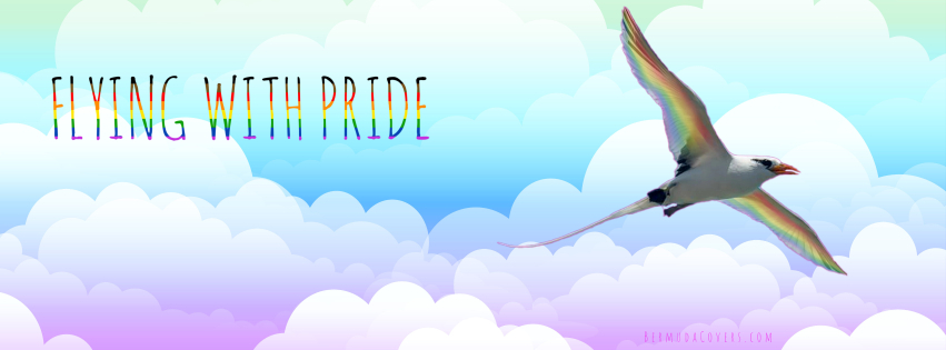 Silver Longtail Rainbow Pink Facebook Cover 3