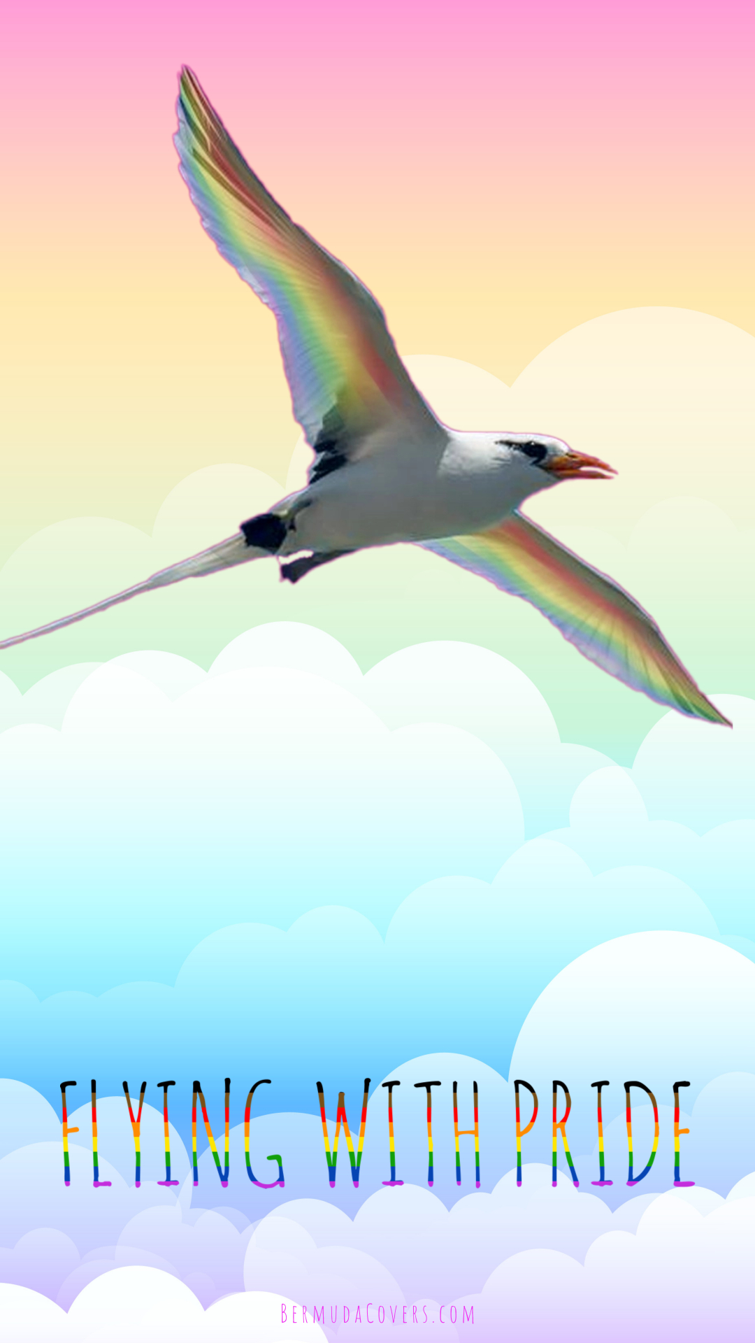 Silver Longtail Rainbow Pink Phone Wallpaper 3
