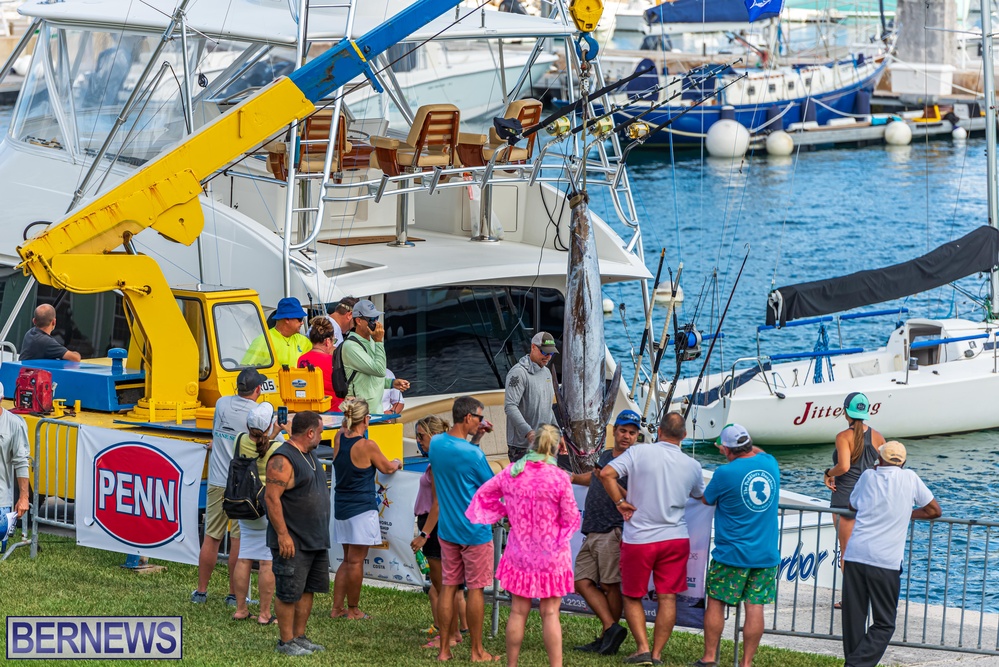 Fragrant Harbor Marlin fish caught Bermuda 2022 (1)
