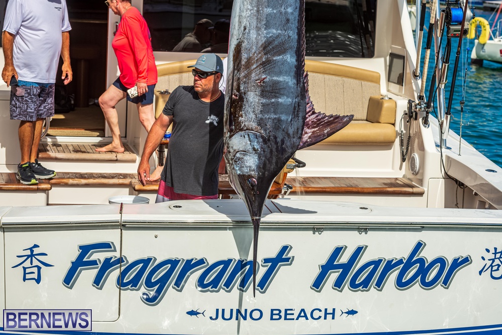 Fragrant Harbor Marlin fish caught Bermuda 2022 (3)