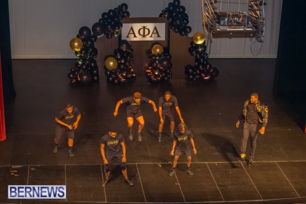 Alpha Beautillion 2022 Bermuda DF-75