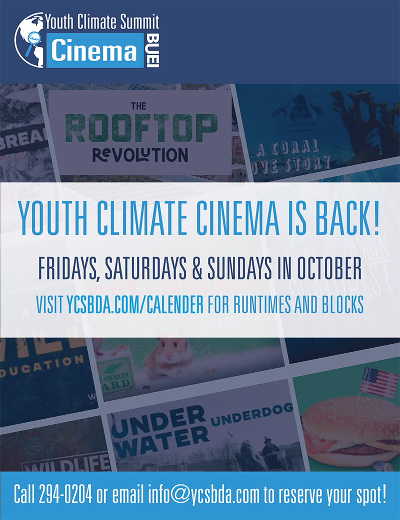 youth and cinema