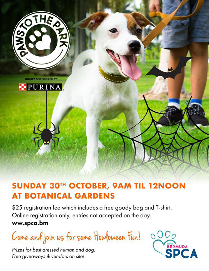 Oct 30 SPCA To Host Paws To The Park Bernews