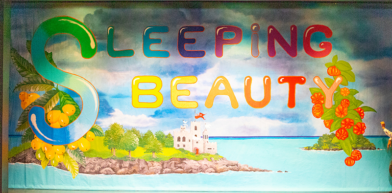 Sleeping Beauty Bermuda Nov 28 2022