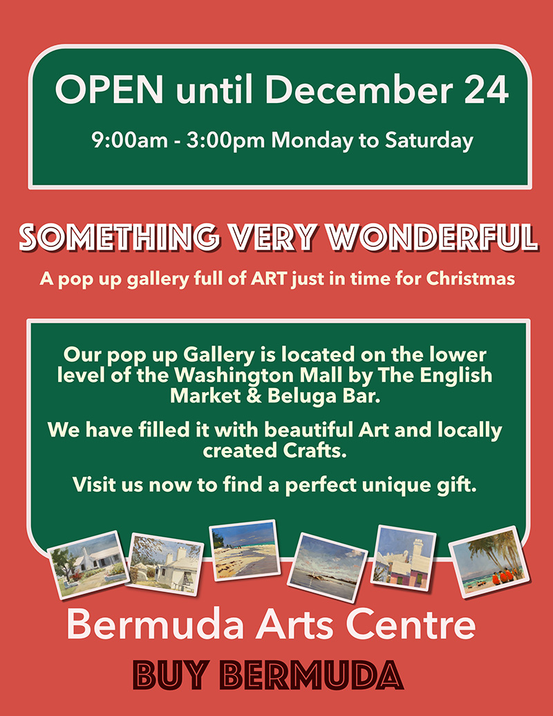 Bermuda Arts Centre's Pop Up Gallery December 6, 2022_1