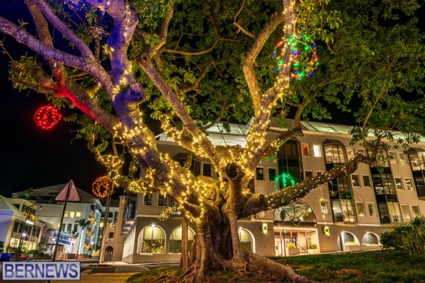 Hamilton city Bermuda island Christmas holiday lights 2022 JS (5)