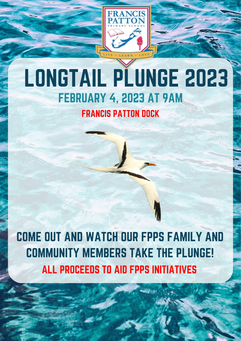 Longtail Plunge Bermuda February 2023