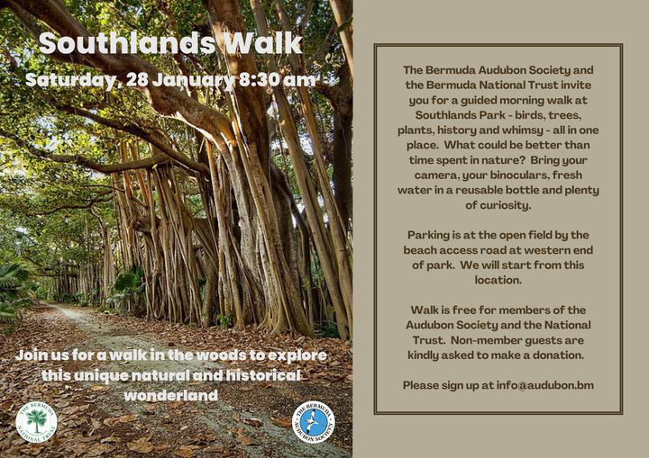 Southlands Walk Bermuda January 2023