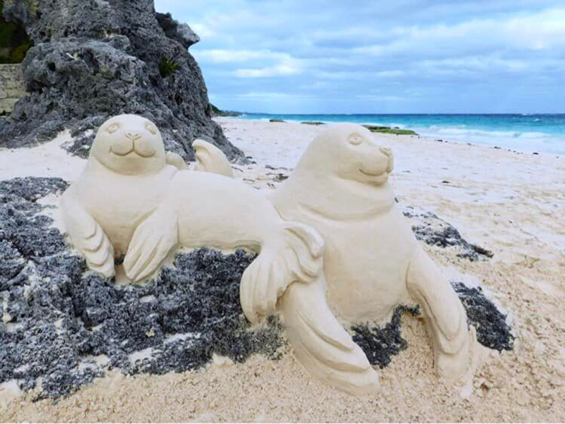 Bermuda Sandcastle Competition Seal February 2023_1